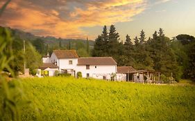 Azienda Agricola I Colli di Marliano