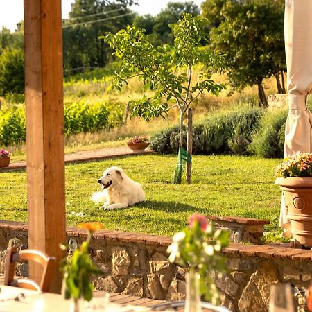 Azienda Agricola I Colli di Marliano Lastra a Signa Esterno foto