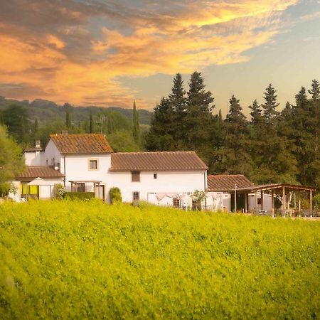 Azienda Agricola I Colli di Marliano Lastra a Signa Esterno foto