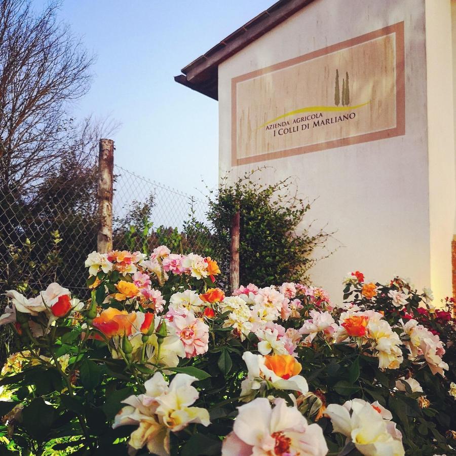 Azienda Agricola I Colli di Marliano Lastra a Signa Esterno foto